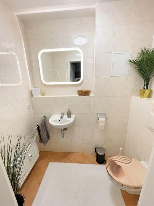 Casarina - Charmante Wohnung Direkt Am Zoo Mit Sauna ライプツィヒ エクステリア 写真